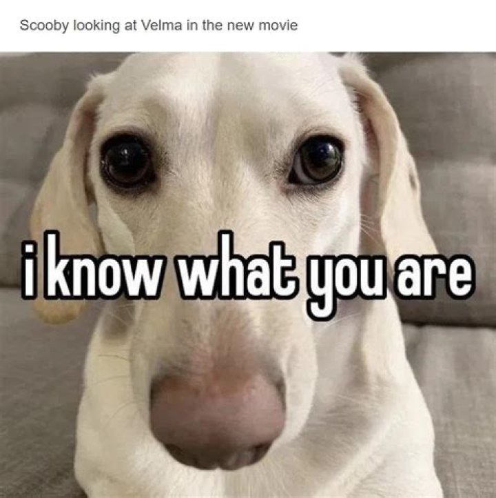 How do you know you have no soul?