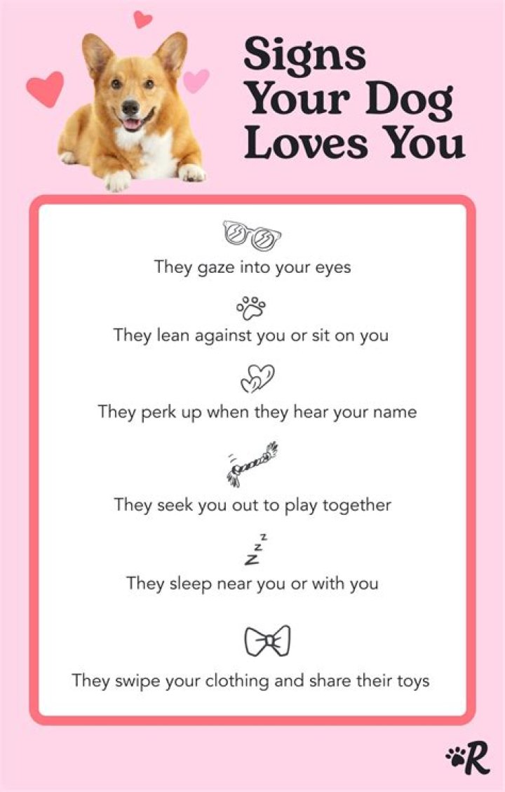 How do you know your pet loves you?