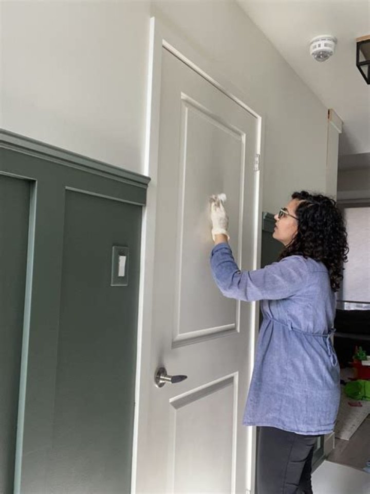How do you paint a door without leaving brush marks?