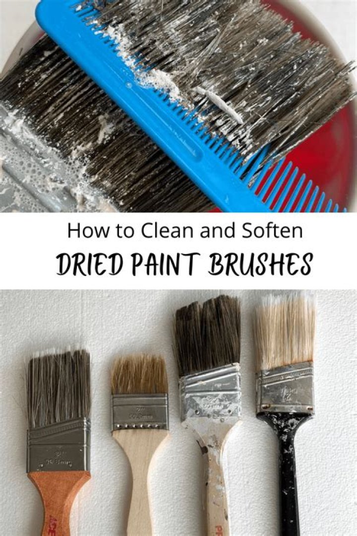How do you remove dried paint from a paint brush?