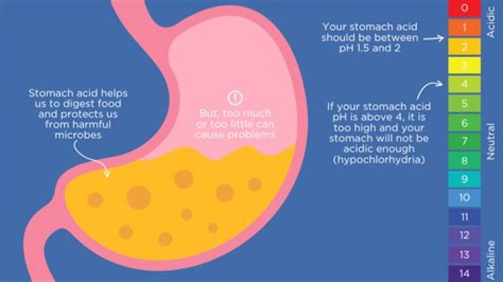How do you reset stomach bacteria?