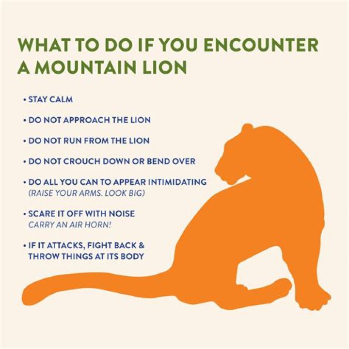 How do you scare off a mountain lion?