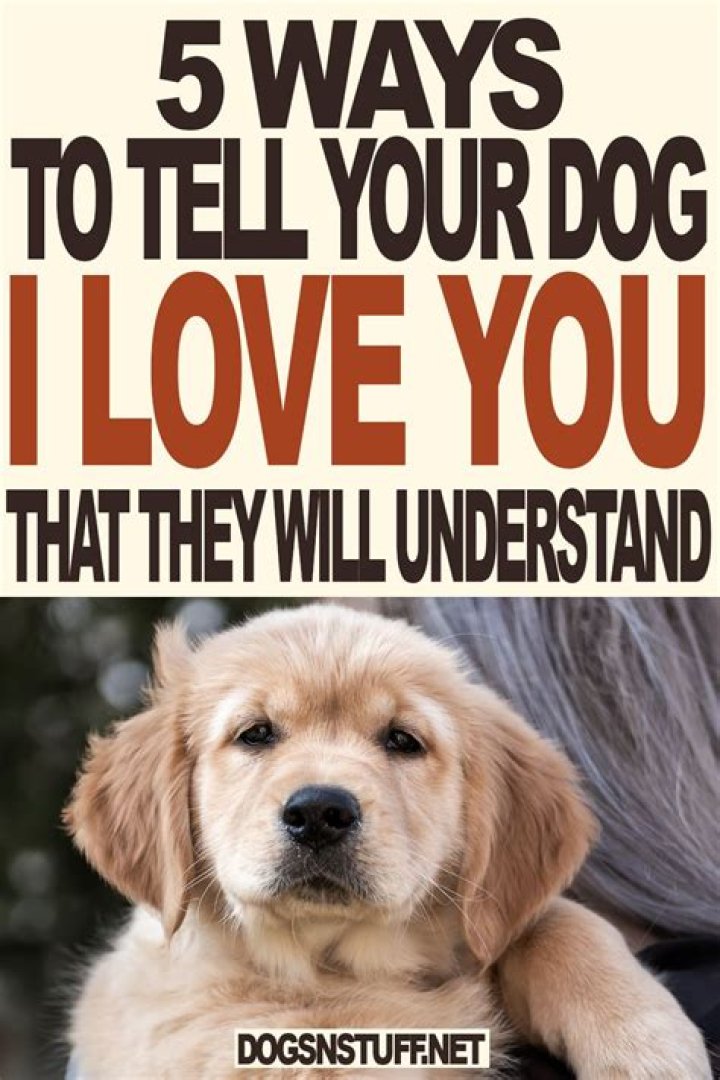 How do you tell a dog you love them?