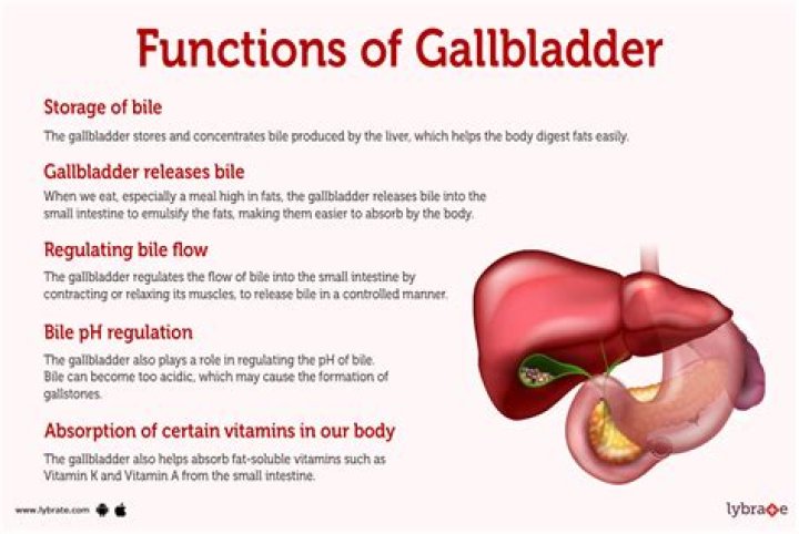 How do you tell if it's your gallbladder or pancreas?