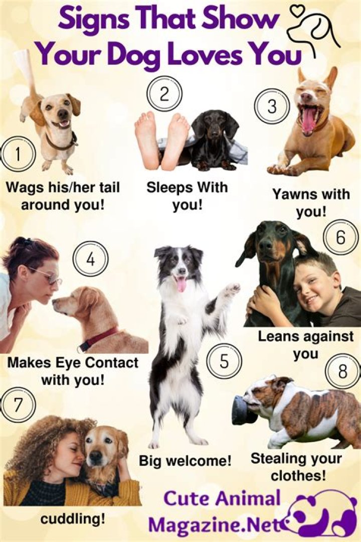 How do you tell your puppy loves you?