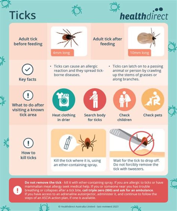 How do you treat a tick bite at home?