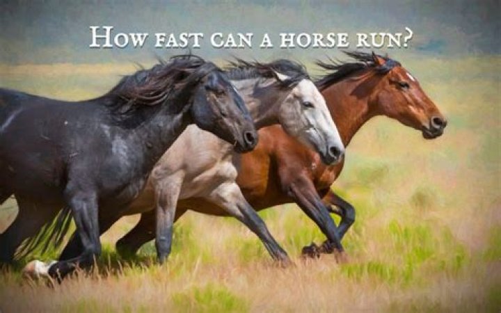 How fast can Agent 47 run?