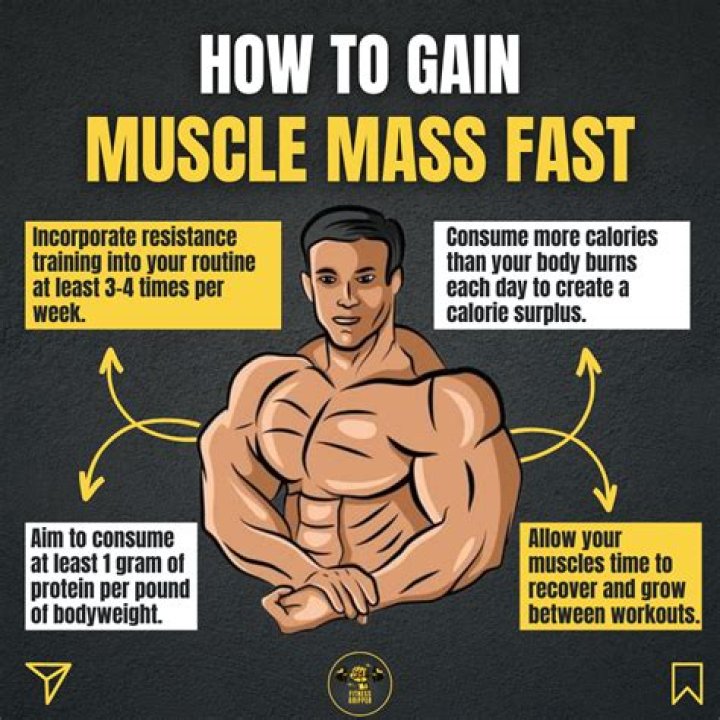 How fast can I grow my biceps?