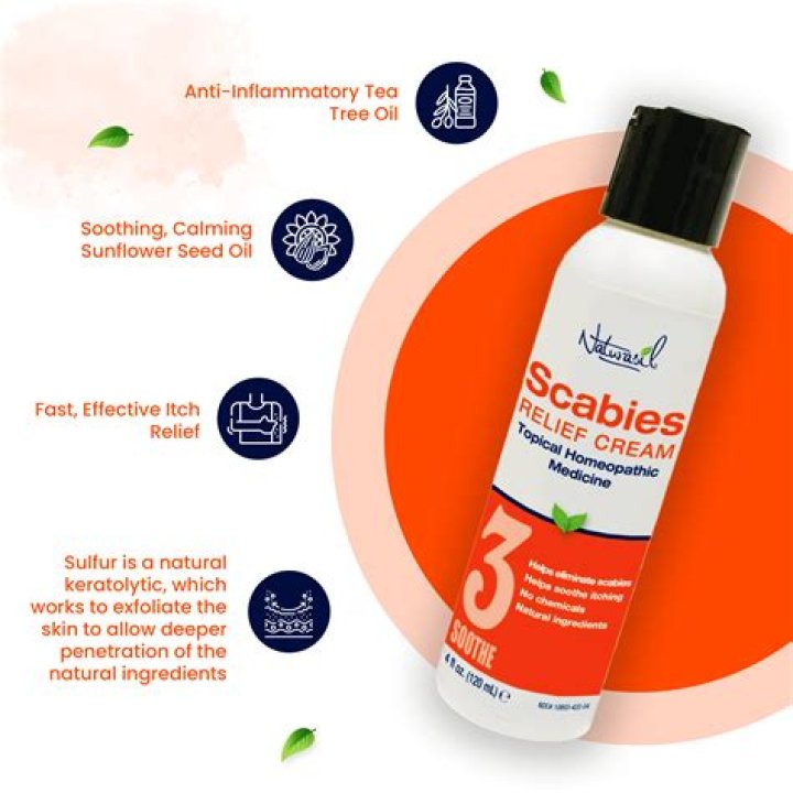How fast does lotion kill scabies?