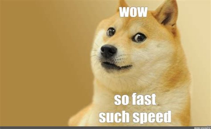 How fast is a fast dog?