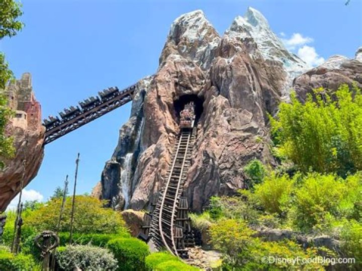 How fast is Expedition Everest?