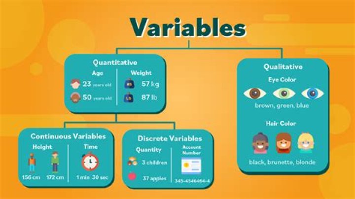 How important is it for the researcher to identify the type of variables used in the study?