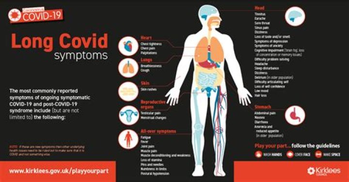 How long after COVID will I have antibodies?