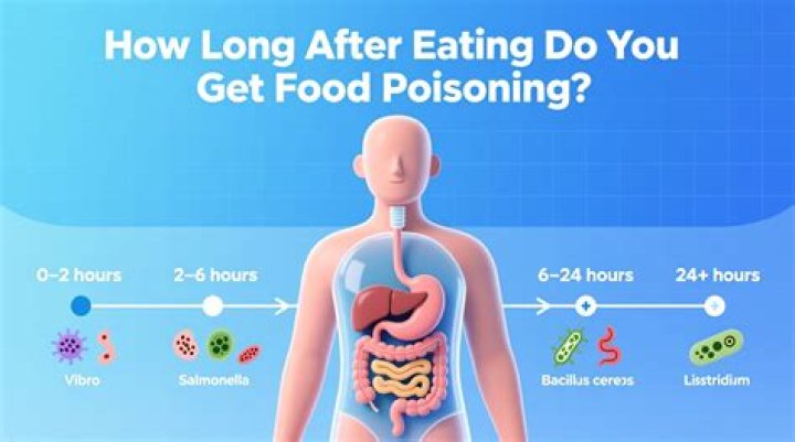 How long after eating should I take amoxicillin?