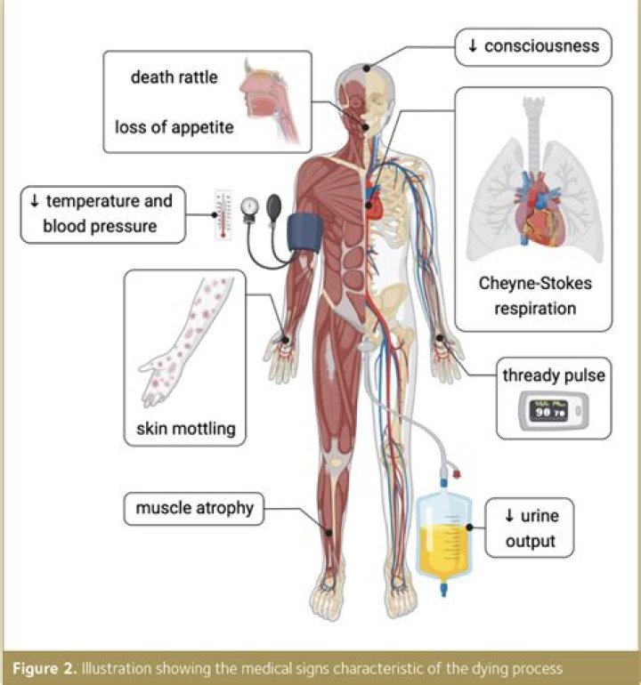 How long can a dying person live after they stop eating?