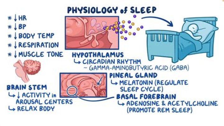 How long can human sleep?
