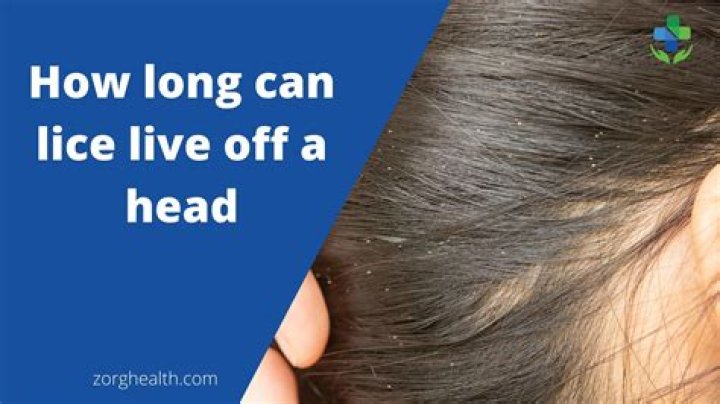 How long can lice live without a host?