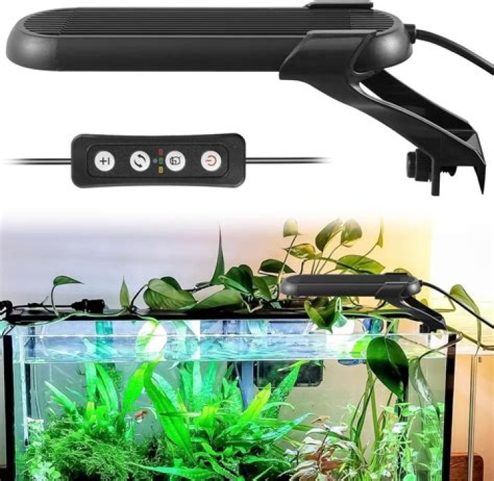 How long can you leave a fish tank light off?