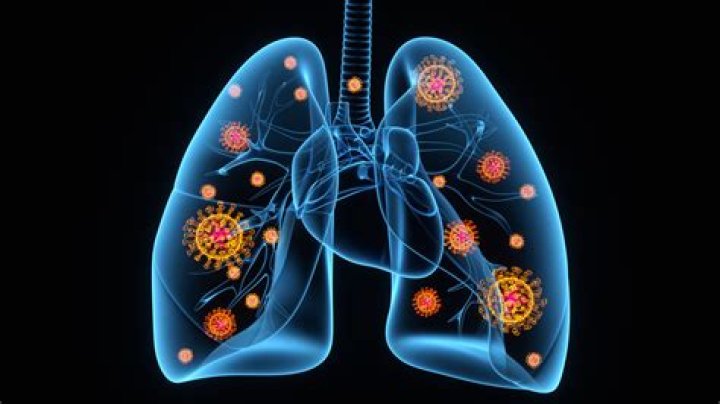 How long could COVID-19 usually linger in your body?