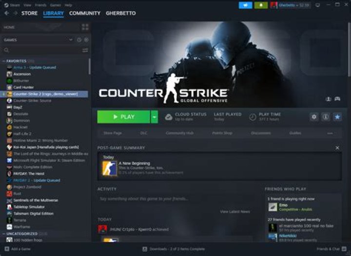 How long did Asuna play CSGO?
