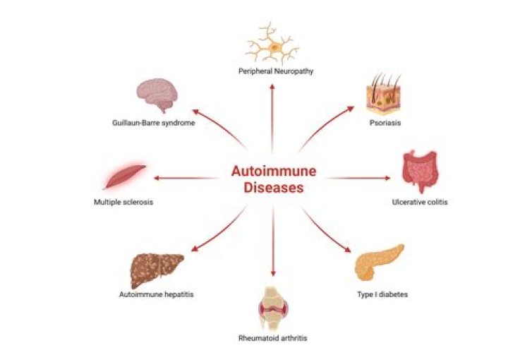 How long do autoimmune flare ups last?