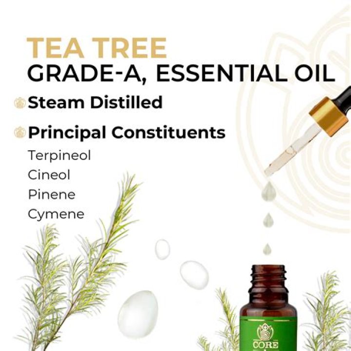 How long does it take for tea tree oil to work?