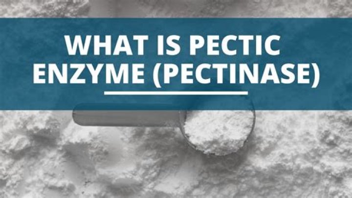 How long does pectic enzyme take to work?