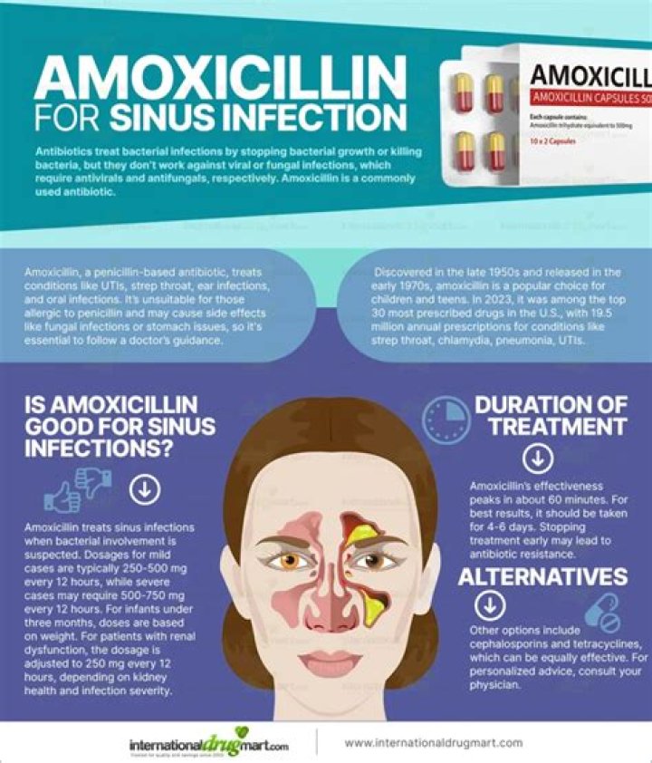 How long should amoxicillin take to work?