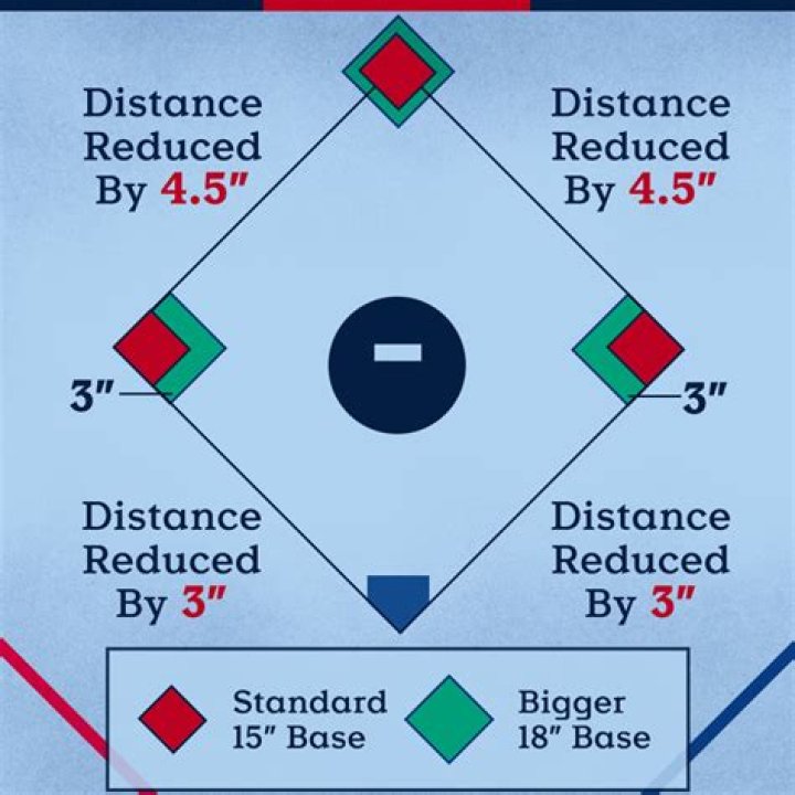 How many bases does cone have?
