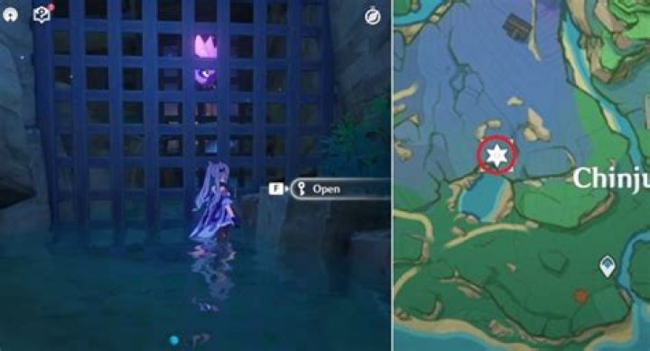 How many Electroculus are there?