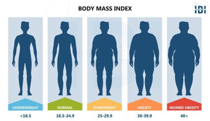 How many gamers are overweight?