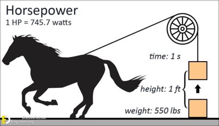 How many horsepower is a chip?