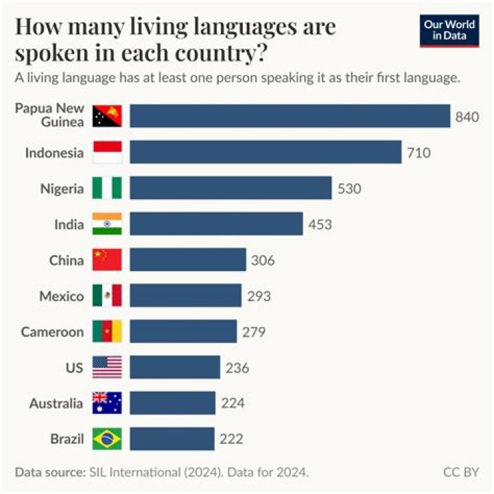 How many languages does Anna Delvey speak?