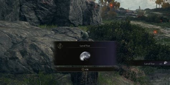 How many larval tears can you get per playthrough?