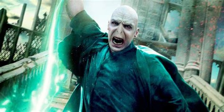 How many owls did Voldemort get?