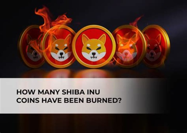 How many Shiba Inu coins will be burned?