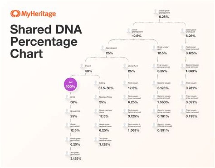 How much DNA do twins share?
