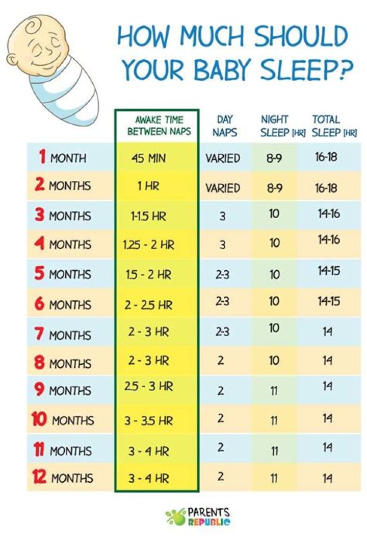 How much do newborns sleep?