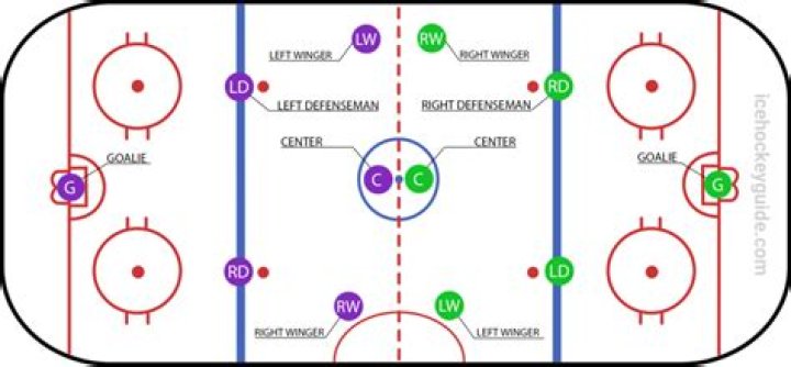 How much does a hockey net cost?