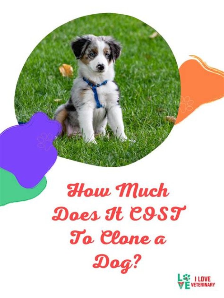 How much does it cost to clone a pet?