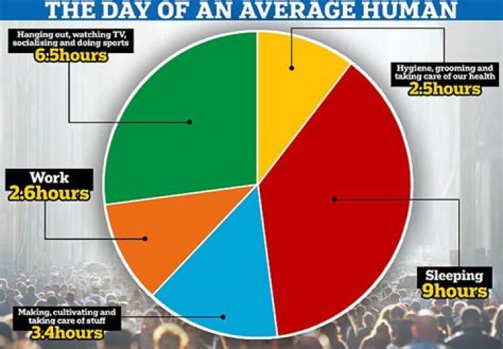 How much Ethereum does the average person have?