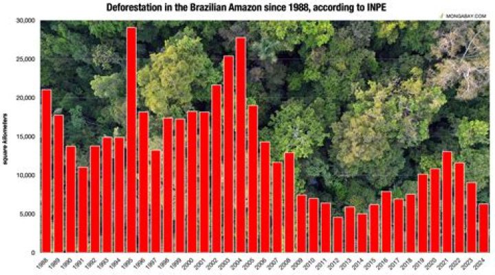 How much forest has California lost?