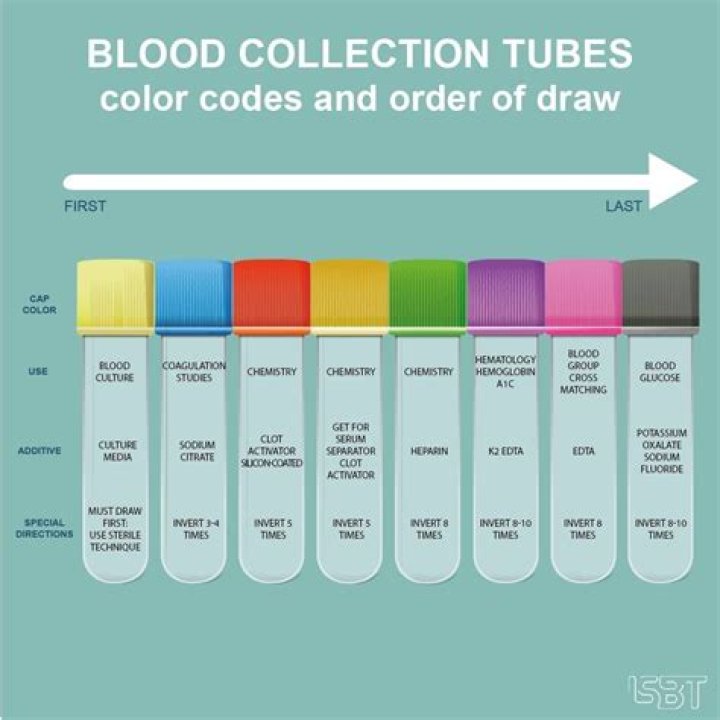 How much Indian blood do you need to get free college?