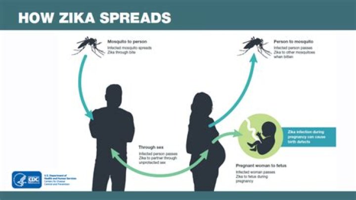 How much is a Zika test?