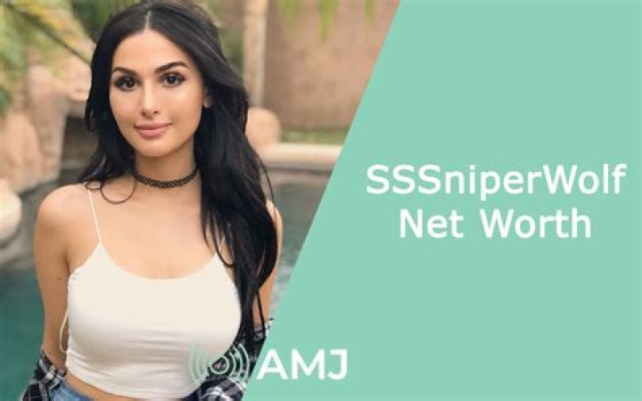 How much is SSSniperWolf?