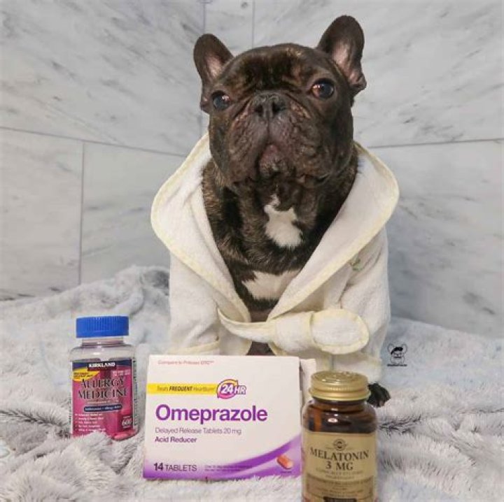 How much omeprazole can I give my dog?