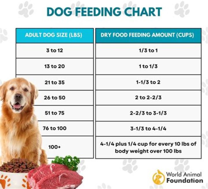 How much Pepcid can I give my 75 pound dog?