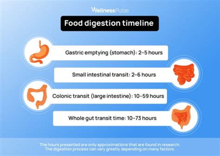 How much time does it take to digest milk?