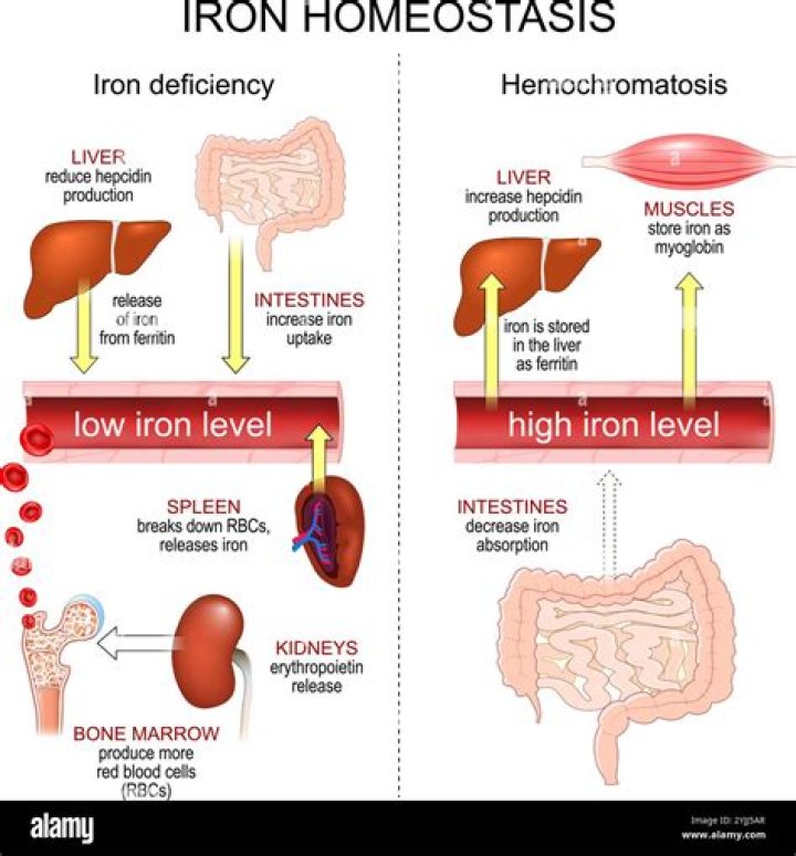 How much turmeric should I take to reduce iron levels?