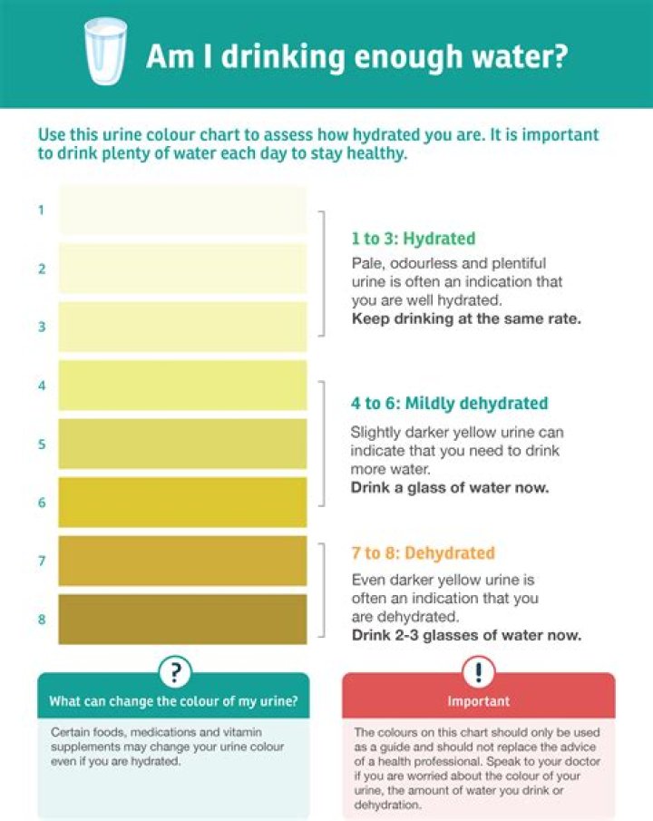 How much water should I drink after CT scan with contrast?